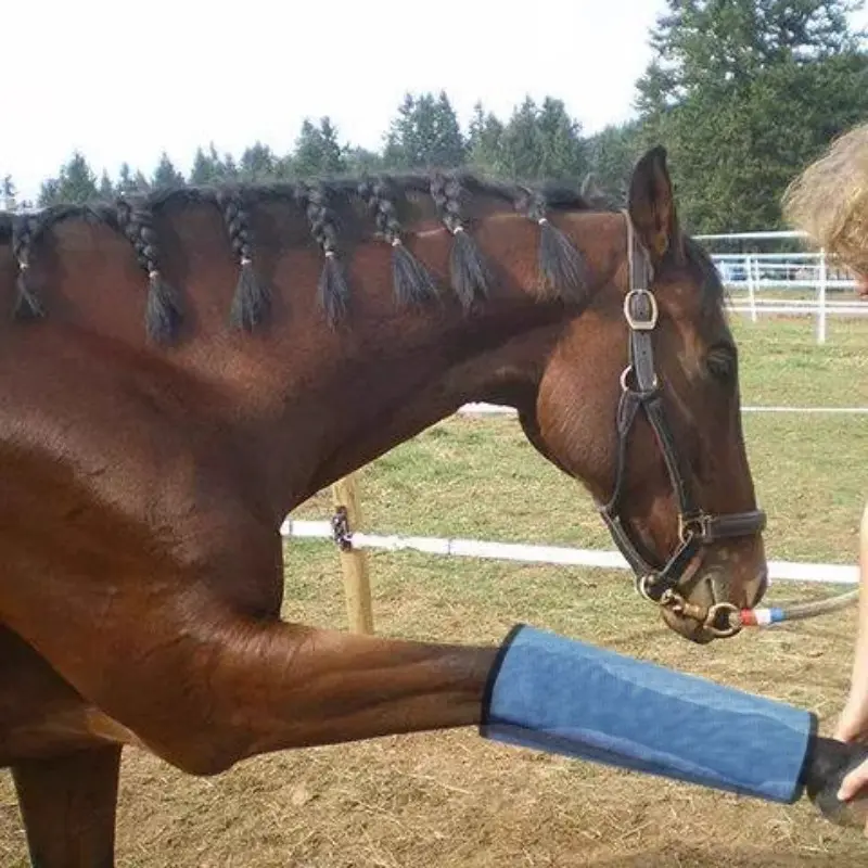Horse Leg Mosquito Net Cover, Horse Hoof Protector, Breathable Mesh Fly Boots, Equestrian Gear, Horse Protection, Equestrian Protective Gear, Anti-Mosquito and Fly, Comfortable and Durable