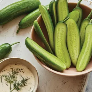 Non-GMO Mini Cucumber Seeds - Beginner-Friendly, Healthy, Easy-to-Grow, Balcony-Safe, Sweet & Crunchy for Balcony, Container Planting