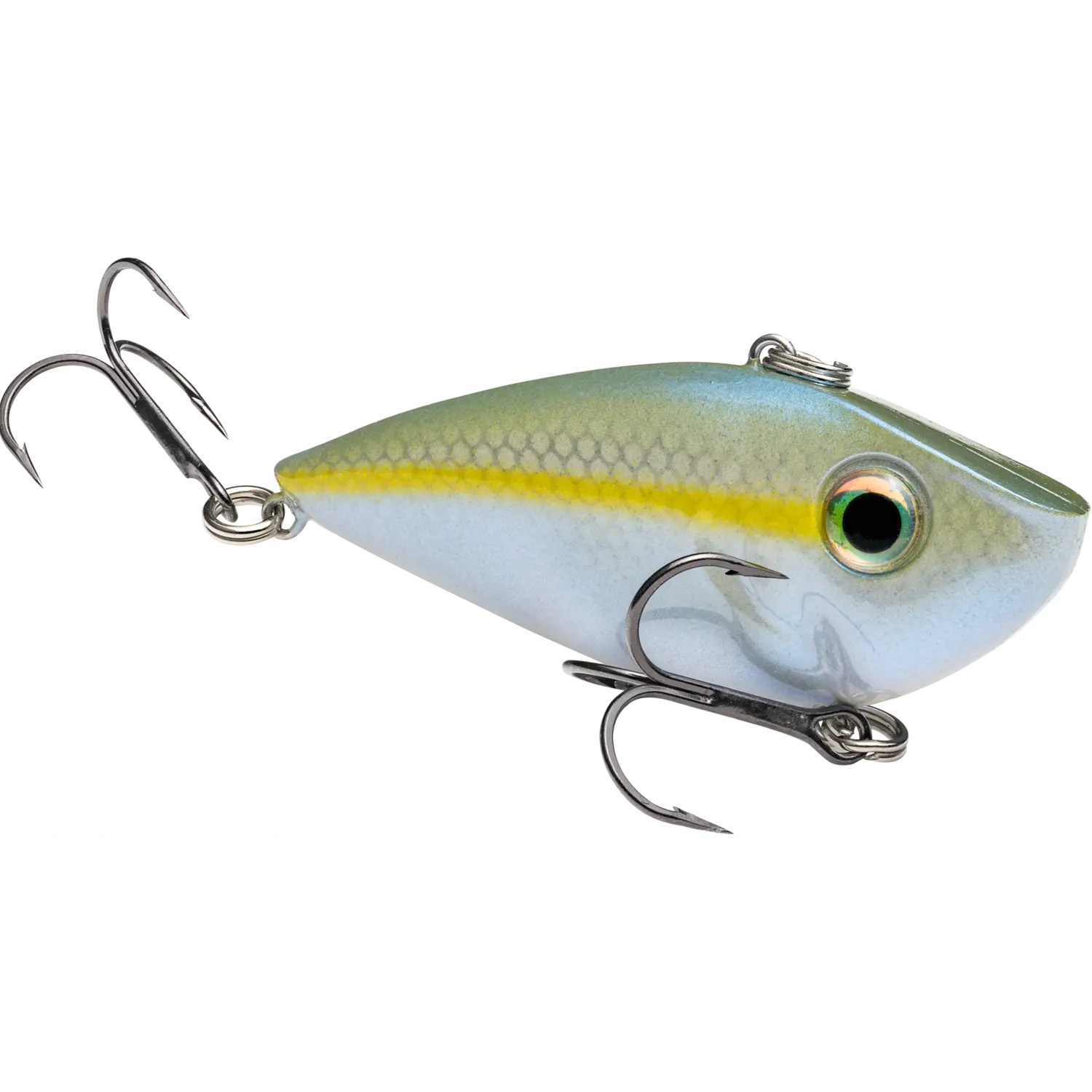 Sexy Blue Back Herring