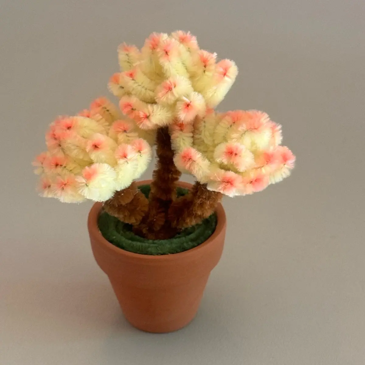 Handmade Mini Potted Succulent for Home Decor and Decoration - Decorative