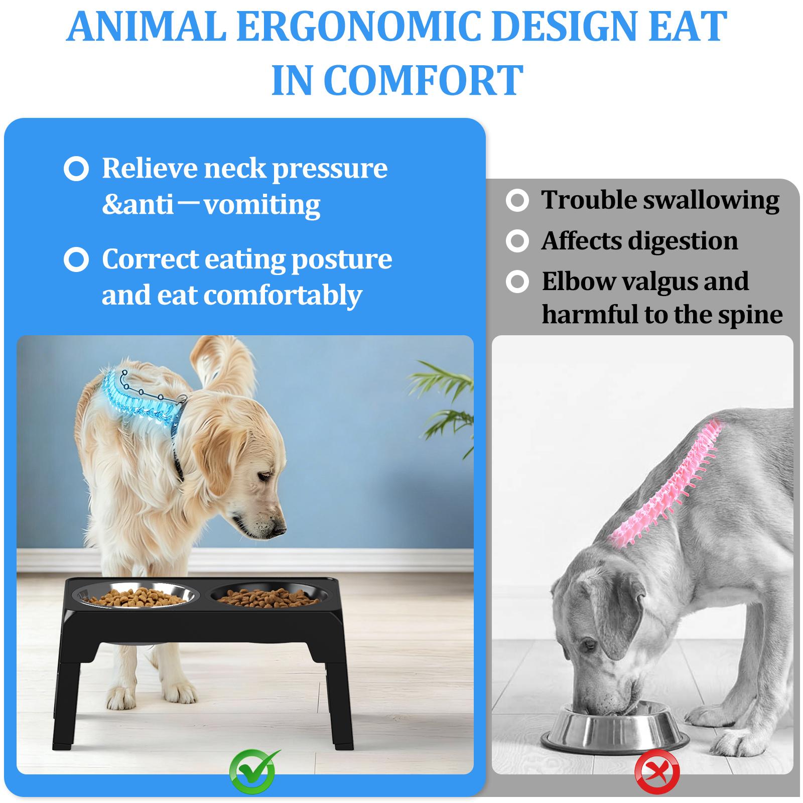 4 Height Adjustable Raised Dog Bowl Stand with Slow Feeder & Stainless Steel Bowls | No Tools Required | Anti-Slip & Spill-Proof Elevated Feeder for All Dog Sizes