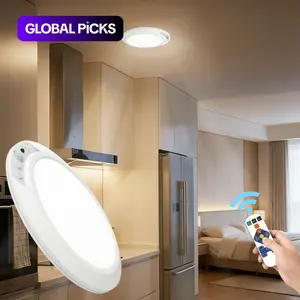 Smart Motion Sensor Ceiling Light, Indoor Lighting, Infrared Remote Control, Wireless, Automatic Dimming, Timer Switch, Color Temperature Adjustable, Type-C Charging #GLOBAL PICKS