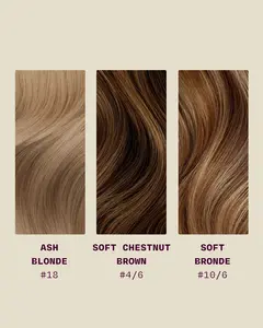Bronde Swatch Bundle