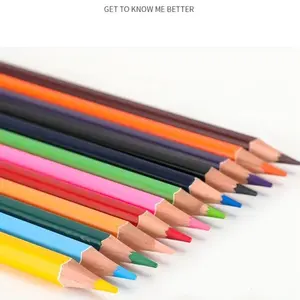 12 Color Metal Colored Pencils Water Soluble Drawing Pens Natural Wood Hexagonal Fluorescent Pencils, Art Supplies for Artists and Students