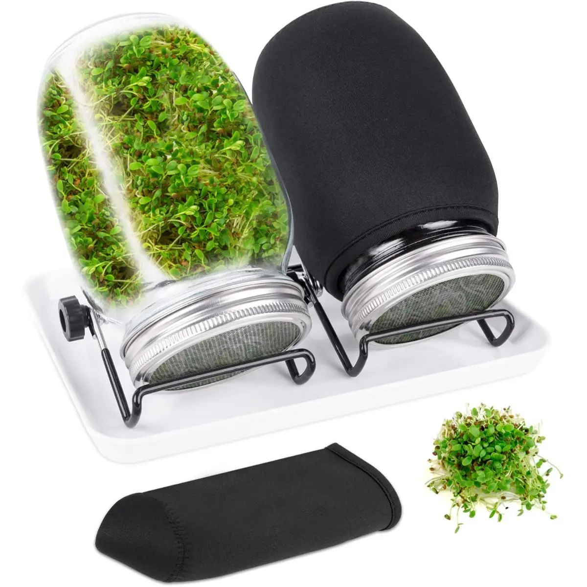 Seed Sprouting Jar Kit with 2 Wide Mouth Mason Jars-Bean Sprouts, Microgreens Growing Kit with Mesh Screen Lids - Sprouts Maker For Growing Broccoli, Alfalfa, Mung Bean