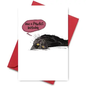 1PC Cute Birthday Card, Greeting Card, Cat "Have a Pawfect Birthday" Design, For Cat Lovers, Perfect for Birthday Wishes to Pet Lovers