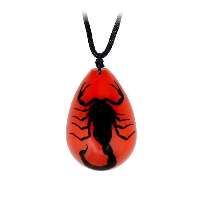 Red Pendant Necklace with Real Black Scorpion
