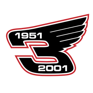 Dale Earnhardt sticker nascar 3 skate cell laptop bumper vinyl decal