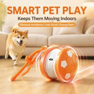 Interactive Dog Ball with Rope – Self-Moving Interactive Toy, USB-Charging Electric Toy with Random Path Motion Activation, Boredom Relief for Small to Large Dogs (Indoor Play), Self-Moving Interactive Toys