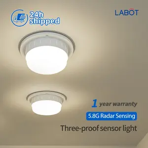 Smart LED Voice-Controlled Light, Public Hallway Corridor Home Radar High Sensitivity Sound-Light Sensor Integrated Lamp