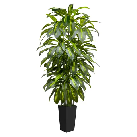 6FT 5FT Artificial Dracaena Tree – Tall Faux Indoor Plant with Black or White Planter – Large Fake Floor Plants for Living Room Bedroom Office Home Decor