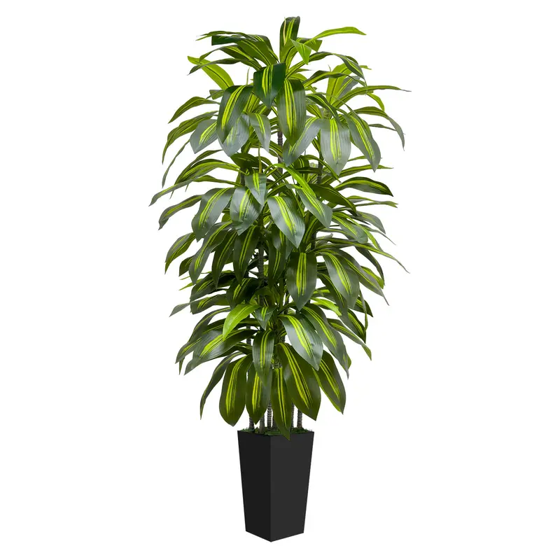 and money tree Money Tree 10