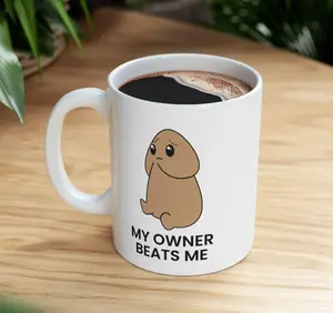 Funny Raunchy Mug “My Owner Beats Me” Cute Emotional Meme Ceramic Coffee Cup 11oz 15oz, Sarcastic Gift for Hubby Boyfriend Friends Coworkers