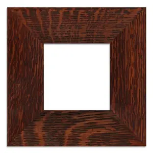 Single Tile Frame