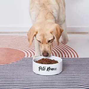 Custom Ceramic Dog Bowl - Personalize with Your Pet's Name