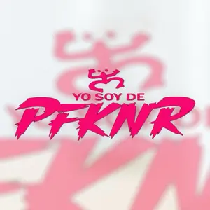YO SOY DE PFKNR - VINYL CAR STICKER (WATERPROOF)