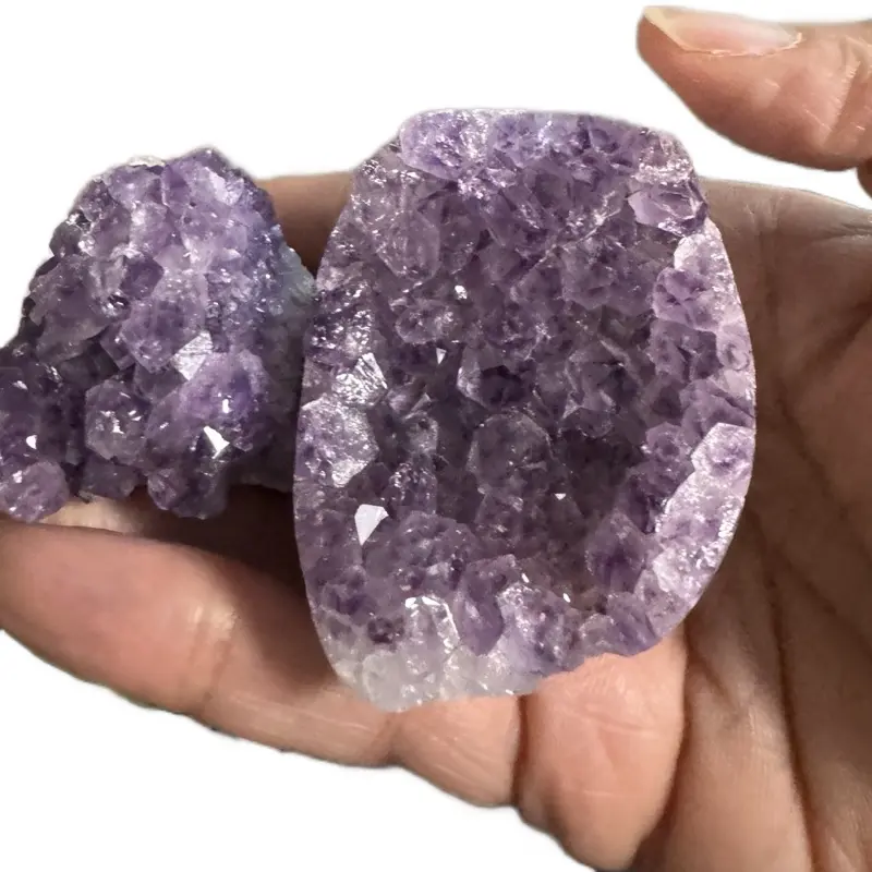 Lela's GemStoneZ Twin Amethyst Guardian Duo Natural Crystal Geode Pair for Calm Protection Sleep Energy Healing Real Amethyst Druzy Points crystals