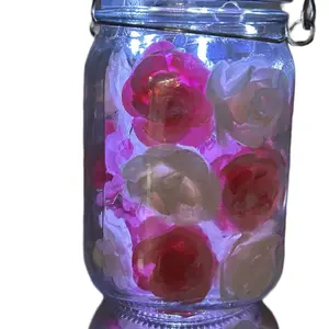 Mason Jar Solar Fairy Light Lantern Rose Garden Pint size