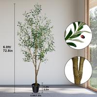 6FT 826 leaves 36 fruits