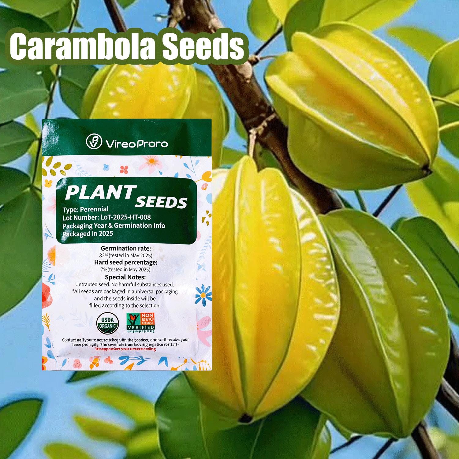 Carambola Star Fruit Seeds for Planting – Easy to Grow Tropical Fruit Tree for Home Garden, Beginner Friendly Gardening, Outdoor Patio Backyard Planting Carambola Star Fruit Seeds for Planting – Easy to Grow Tropical Fruit Tree for Home Garden, Beginner Friendly Gardening, Outdoor Patio Backyard Planting