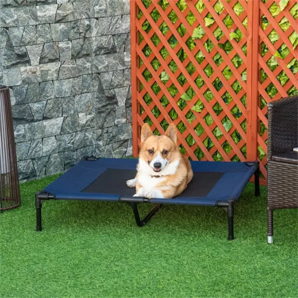 Pet Bed, Not Shipped On Weekends, Amazon Shipping