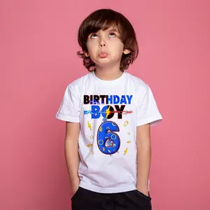 6 Birthday Boy Matching Hedgehog Party Funny T-Shirt, Funny Video Game 6 Year Old 6th Birthday Party Shirt,Birthday Trendy Shirt For Boys Girls Kids