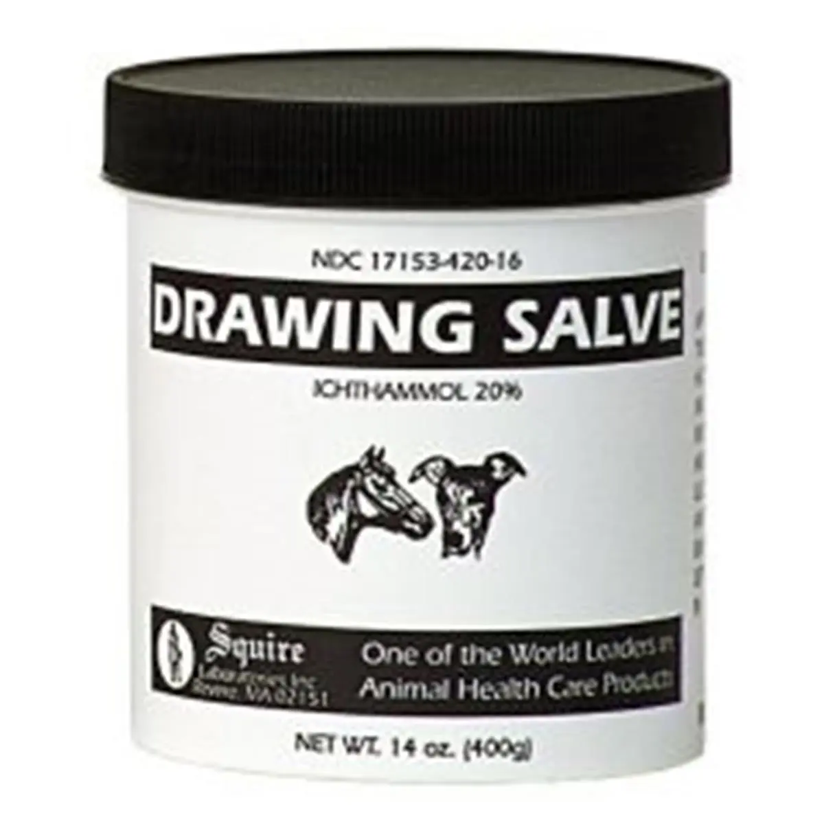 212 MAIN 14oz Ichthammol Drawing Salve - Therapeutic, Anti-Inflammatory Treatment Ointment for Equestrian, Outdoor Sports Use - 79105, Remedies