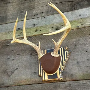 Arkansas Plaque Only (DIY Antler Mounts)