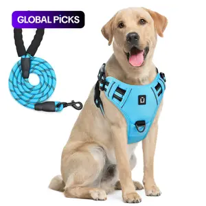 Adjustable Pet Harness & No Tangle Leash Kit, 1 Set Reflective No Pull Vest Harness With Handle, Pet Supplies For Small To Large Dogs #GLOBAL PICKS