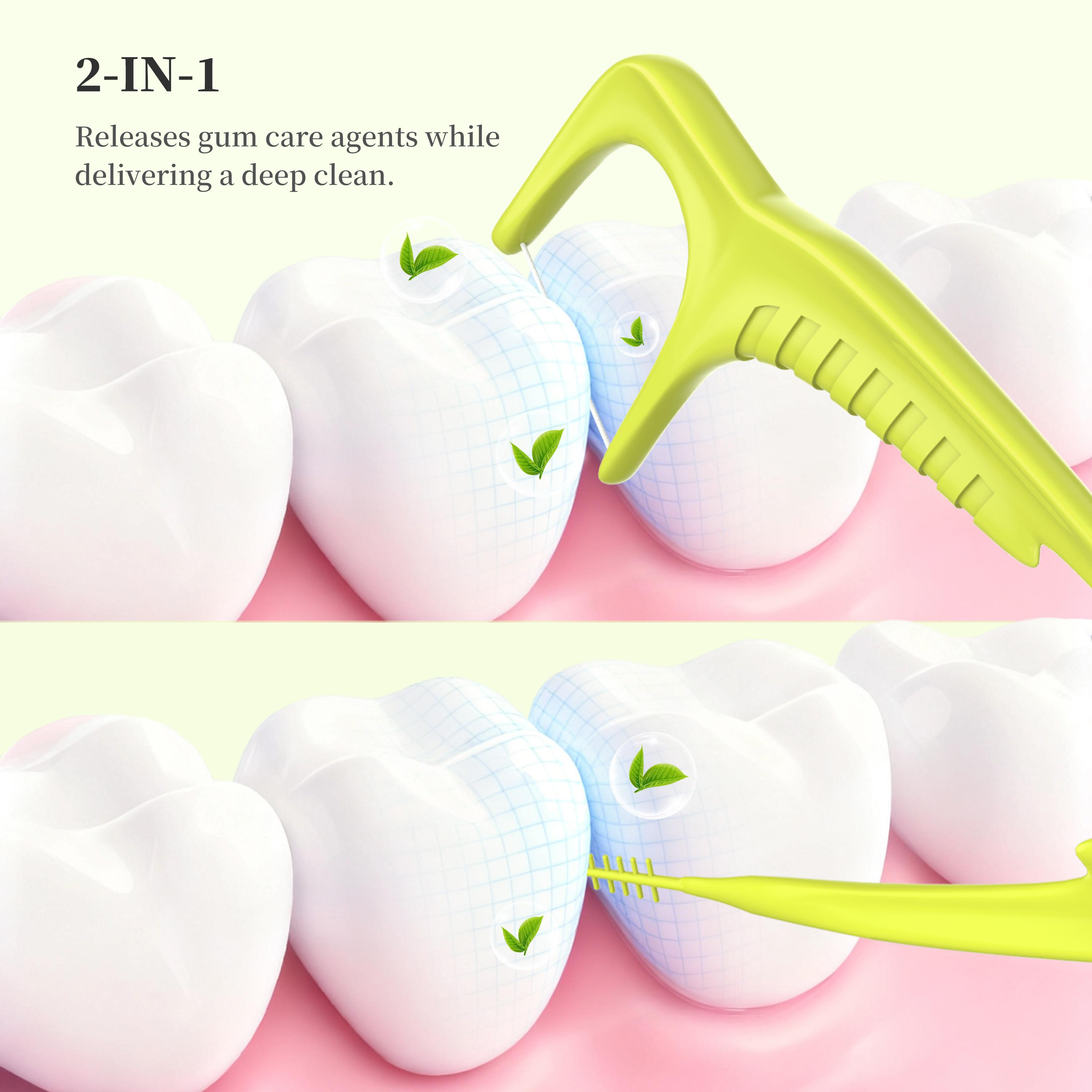 CEELIKE 2-in-1 Floss Pick : Efficient Cleaning, Gum Care, and Fresh Breath Guaranteed