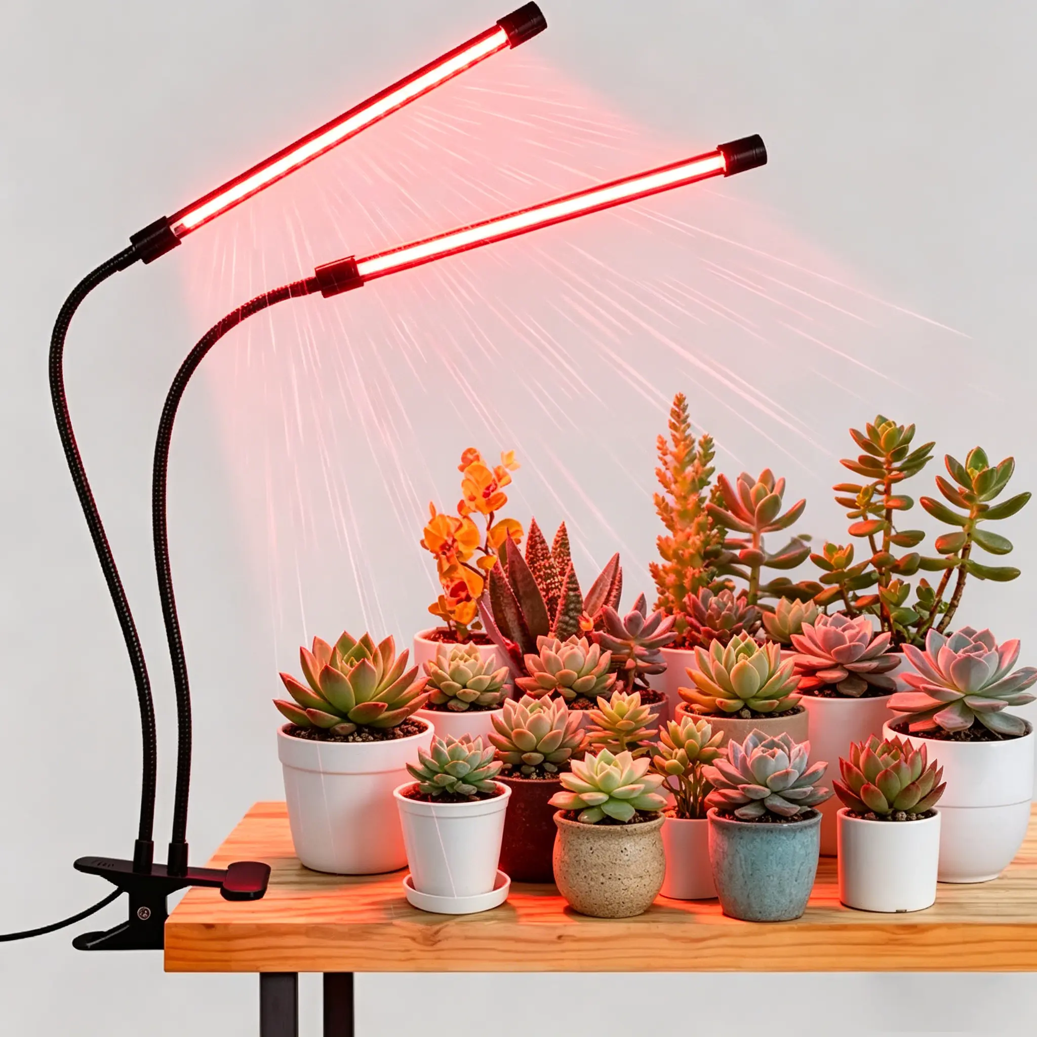 Upgraded Dual-Head LED Grow Lights for Indoor  & Seed Starters, Plastic Body, Full/Red-Blue Spectrums, 3/6/12H Timer, 9 Dimmable Levels, Adjustable Gooseneck, 3 Switch Modes, Equivalent Wattage Light Stand for Plant Care, Led Lights, Dual Heads tier