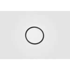 O-Ring, Face Cap - Mini Maglite 2-Cell AAA