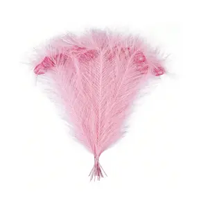 Pink Peacock Feathers 20pcs 10-12Inch - Wedding Party Decor Ornaments Crafts Hat Floral Arrangements