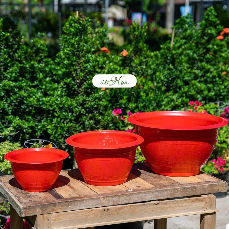 Combo 2 cái chậu nhựa cứng Truyền thống trồng cây đủ size bền chắc