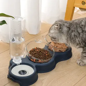 Automatic Pet Water Dispenser & Double Feeding Bowl