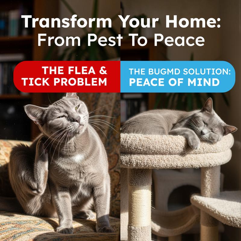 BugMD Flea & Tick Spray for Cats & Home – Plant-Based Formula with Cedarwood Oil – Indoor/Outdoor Use – 16 oz