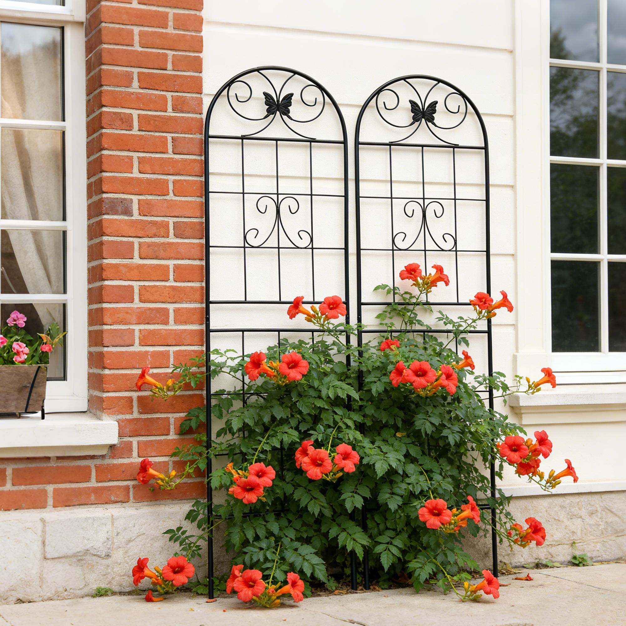 2/4 Pack Metal Garden Trellis 71" x 19.7" Rustproof Trellis for Climbing Plants Outdoor Flower Support Black