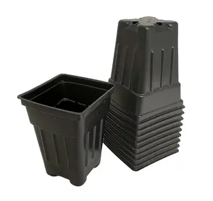 Black Plastic Nursery Pots - 10 Pack - 3.5" L x 2.5" W