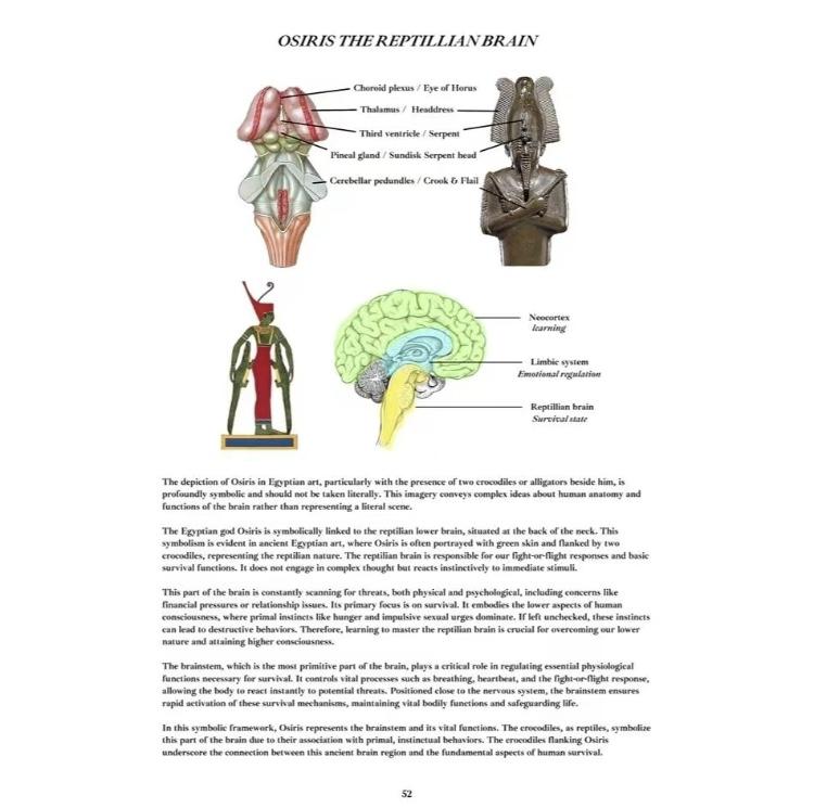 Book of Wisdom Volume II - Revival of Wisdom, Esoteric Knowledge & Spiritual Awakening Guide with Ancient Symbols, Occult Diagrams & Hidden Teachings