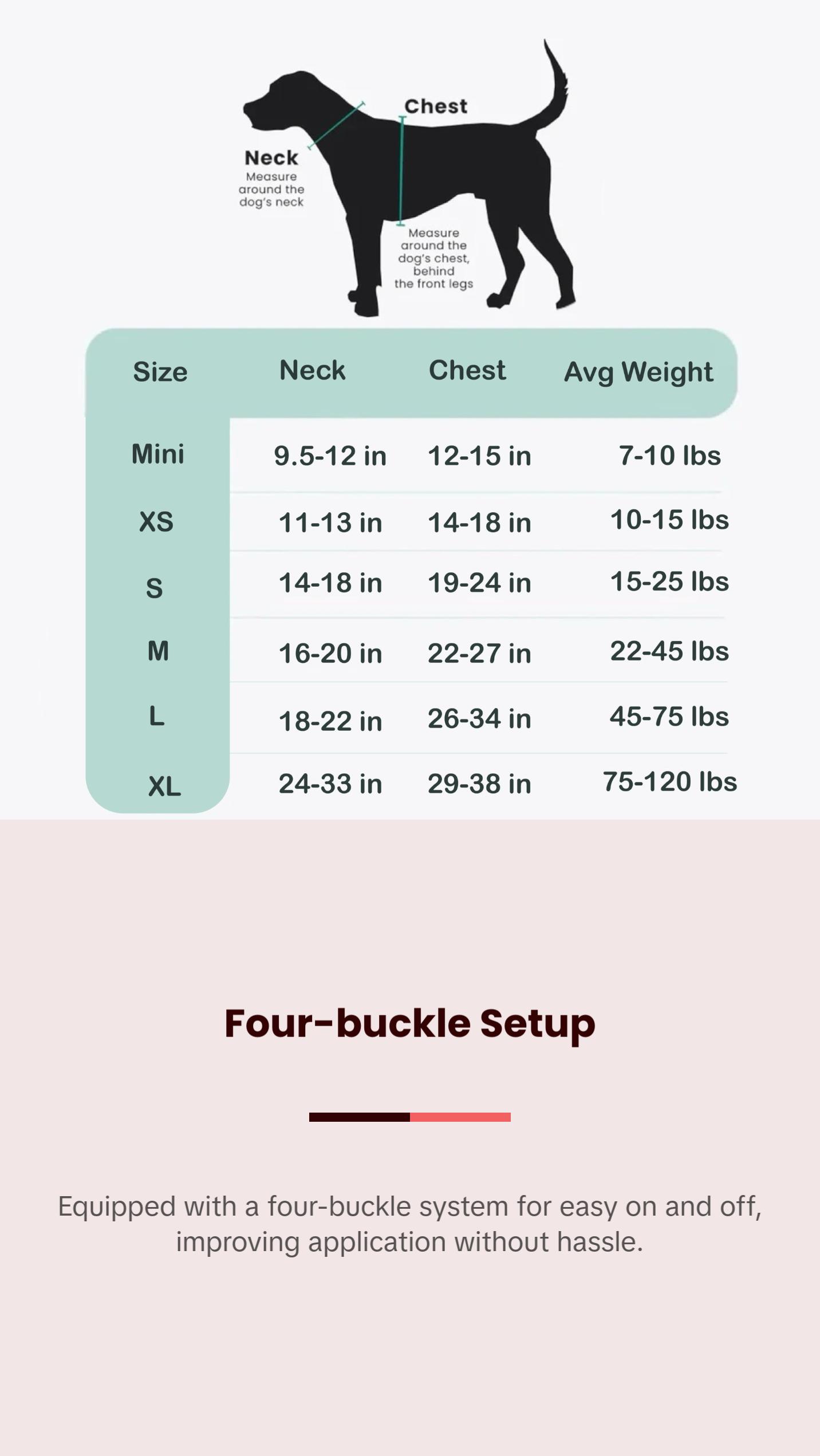 Skully Party - Adventure Harness