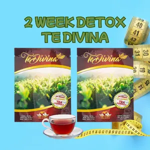 Vida Divina Tea Divina Natural Herbal Tea Pack of 2 - Organic Dietary Supplement with 12 Herbal Ingredients for Detoxification and Energy Support Beverage