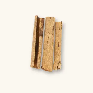 Natural Indian Almond & Catappa Tree Bark (50g) by Betta Botanicals for Betta Tanks & Blackwater Aquariums