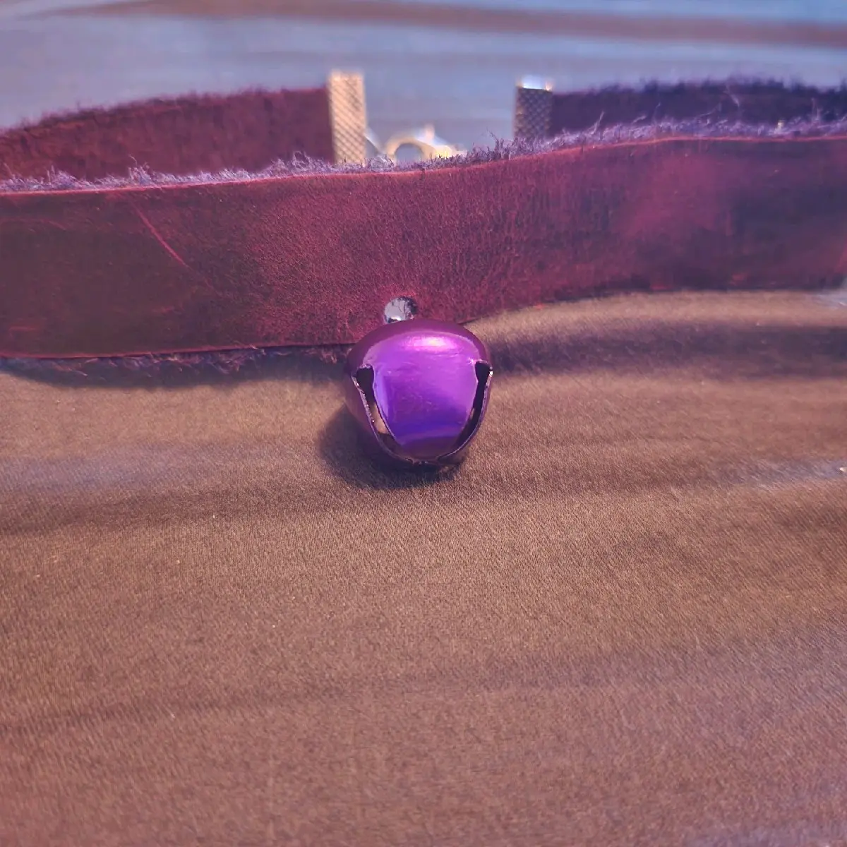 pet play day collar