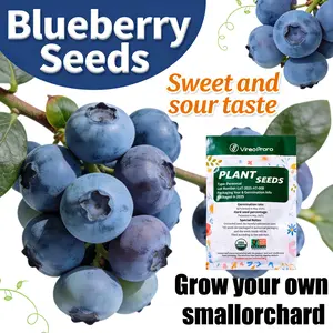 Dwarf Blueberry Seeds | Perennial Fruit Plant | Easy to Grow | Patio Garden Decor Seeds
