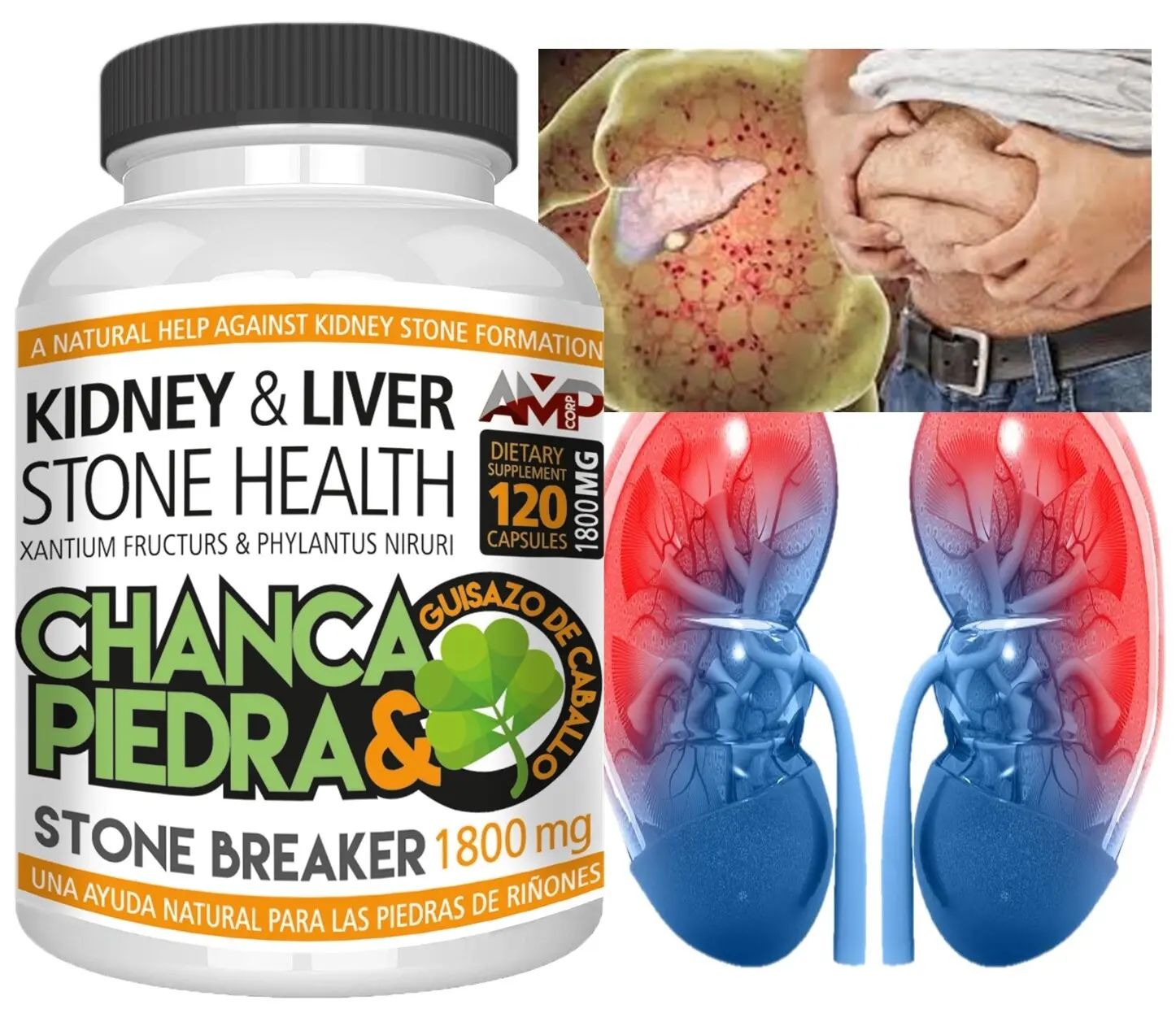 Chanca Piedra 1800 mg 120 CAPSULES Peruvian material Stone Breaker CHANCAPIEDRA
