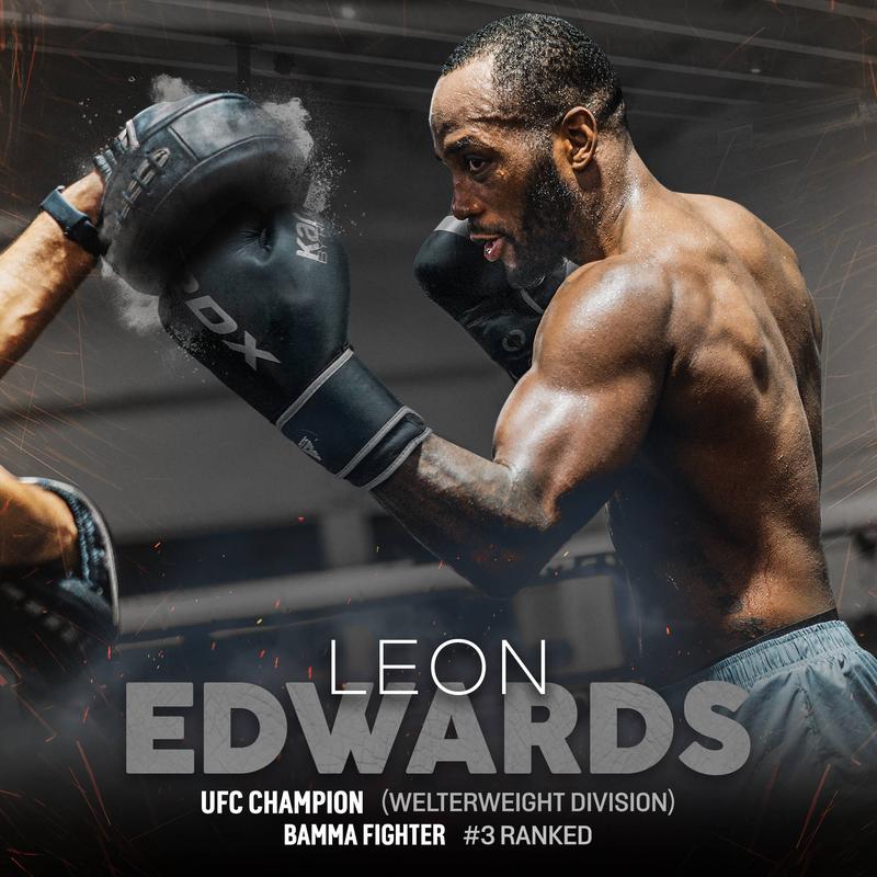 RDX Boxing Gloves, Pro Training Sparring Gloves