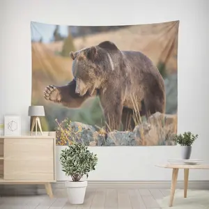 Tapestry Trippy Anime Tapestry Aesthetic Bear Tapestry Trippy Cheap Tapestry Hangers For Walls Large Living Room Bedroom Wall Hanging Decor 200x200cm