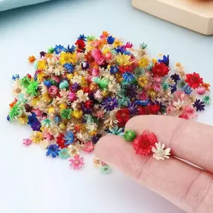 Random Color Mini Dried Flower, DIY Handmade Material Set, Colorful Dried Flower Petals, Jewelry Resin Filling Accessories, Creative DIY Gift, Handmade Gifts