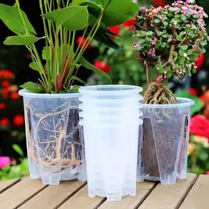 3pcs, Clear Tall Slotted Air Vent Pots, Planter Pots, Phalaenopsis Flower Pot: Root-Controlled, Perforated, Velvet Bamboo, Calla Lily & More - Perfect for Indoor & Outdoor Garden Decor