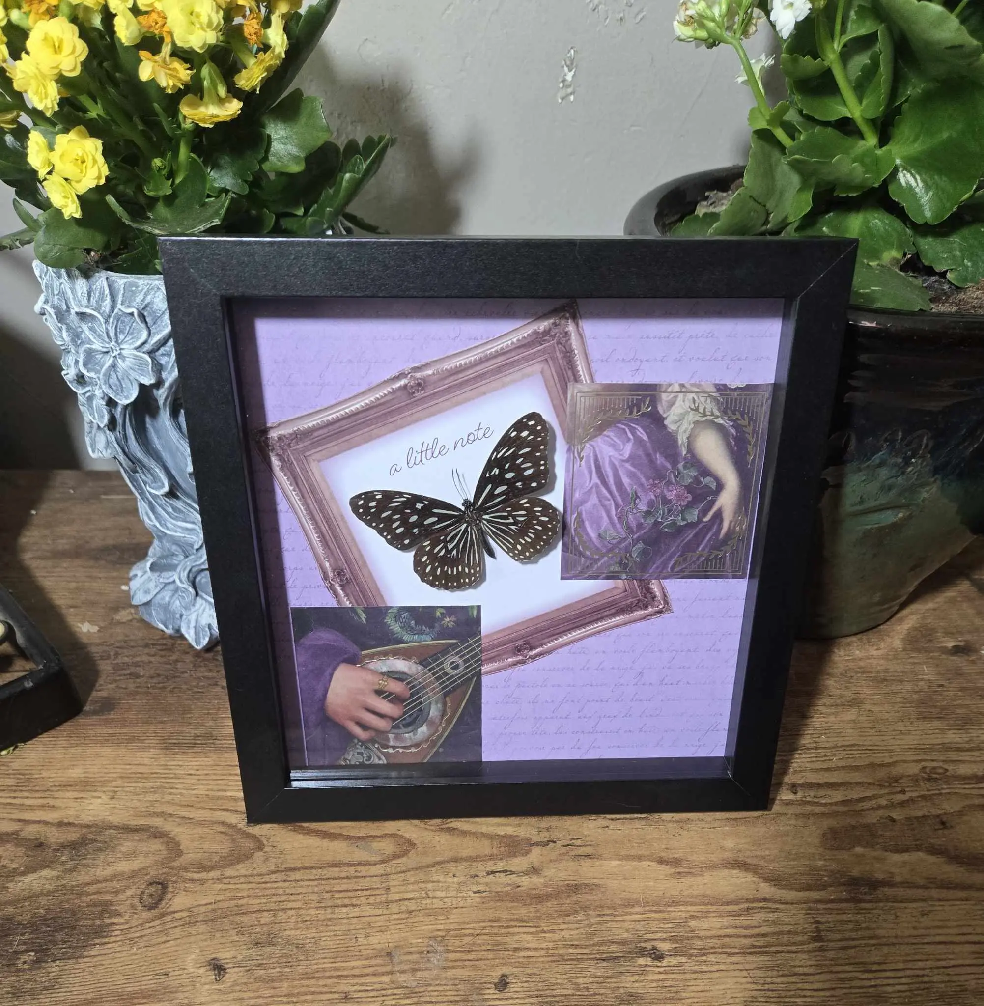 Classic Ethically Sourced Butterfly Specimen Rectangle Shadow Box - Rectangle Shaped Body Insect Motif Photo Frame for Indoor Home Wall Display, Home Decor
